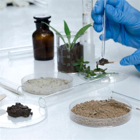 Basic Soil Testing 的图像结果