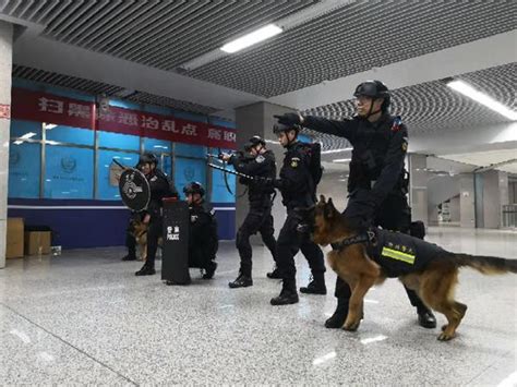 警犬上站巡逻 河南郑州地铁公安启动社会稳定二级勤务模式(组图)-特种装备网