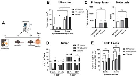 Anti-Tumor Efficacy of a Mesothelin-Based Nanovaccine in a KPC ...