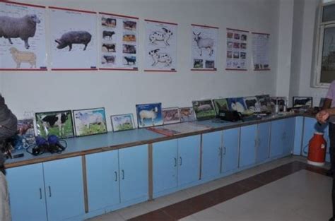 International Institute of Veterinary Education & Research Rohtak ...