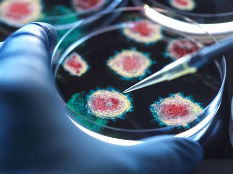 New COVID-19 variant XFG found in 13 states of India