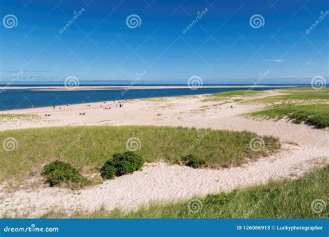 Cape Cod Beach 的图像结果