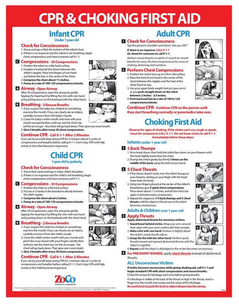 Buy Choking and CPR Poster for Restaurant - Baby/Infant CPR Poster 2019 - Laminated First Aid ...