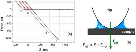 Tribological Performance of Diamond-like Nanocomposite Coatings ...