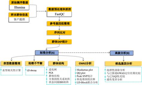 Gwas Microarray 的图像结果
