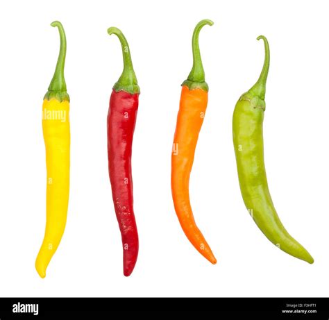 Cayenne chilli peppers Cut Out Stock Images & Pictures - Alamy