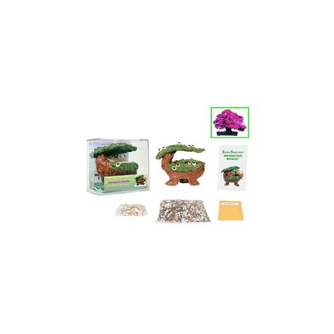 Buy Eve's Bonsai Babyland Miniature Azalea Seed Kit, Complete Kit to ...