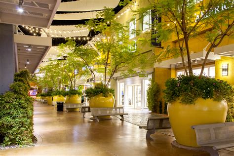 Desert Ridge Marketplace - Creative Designs in Lighting