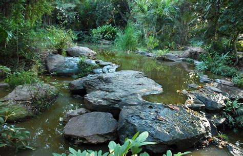 Парк Короля Рами IX (King Rama IX Park)