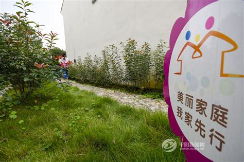 私家小院 | 你也可以拥有美丽的花园_柳星星_美国室内设计中文网博客
