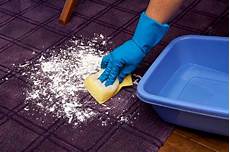 come pulire i tappeti in casa come pulire i tappeti soluzioni di casa come pulire i tappeti in casa come pulire i tappeti soluzioni di casa