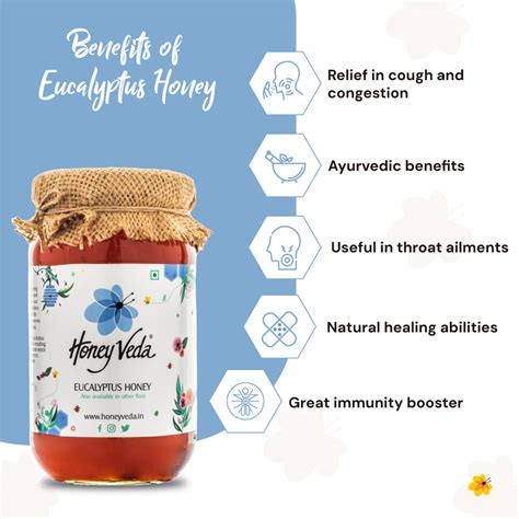 Eucalyptus (Nilgiri) Raw Honey – HoneyVeda