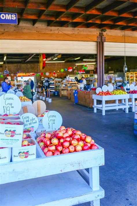 Boa Vista Orchards in Apple Hill - An El Dorado County Gem - California ...