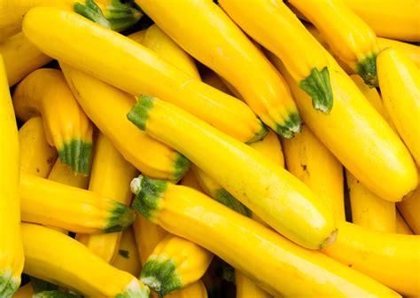 Yellow Squash: Why You Should Start Eating This Veggie Now - Slender ...