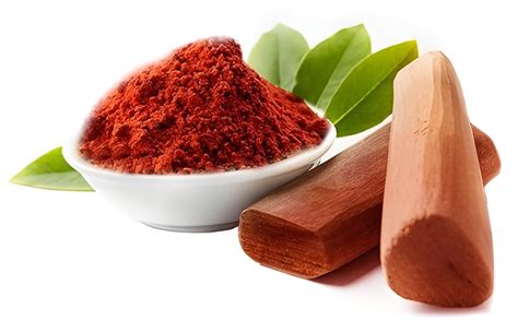 Buy AGRO ALIVE Live Red Sandalwood Plant (1–1.5 ft) – Lal Chandan ...