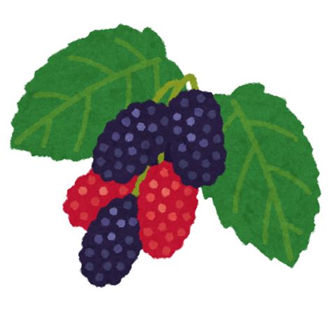 Image result for Un Sample Script