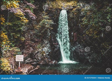 Koga Falls (Kobe City, Arima Onsen) Stock Photo - Image of koga, rokko ...