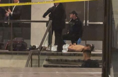 Suspect in Washington Dinner Shooting Charged With Trying to ...