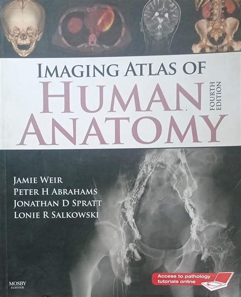 Amazon.in: Buy IMAGING ATLAS OF HUMAN ANATOMY By Jamie Weir SECOND HAND ...