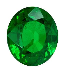 Image result for Emerald Back Python