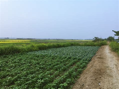 Oxygen ★ Sabyasachi - A Progressive Thought