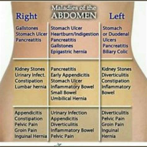 Abdominal quadrant pains | Abdominal pain, Nurse, Nursing tips