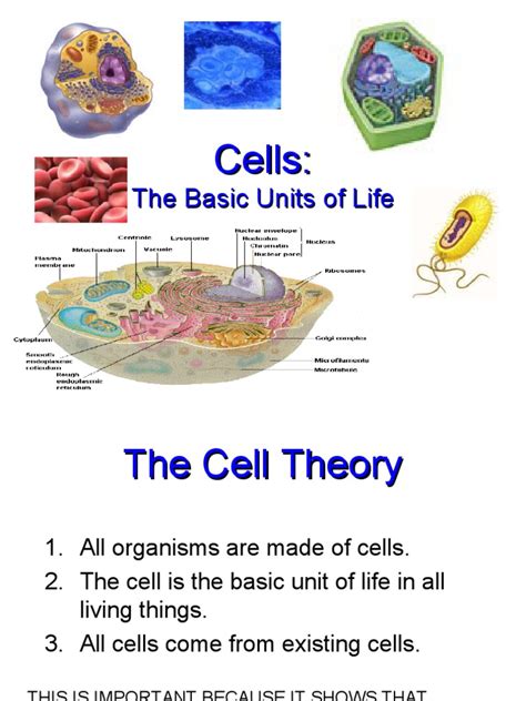 Cell Structure and Functions | PDF | Cell (Biology) | Organelle