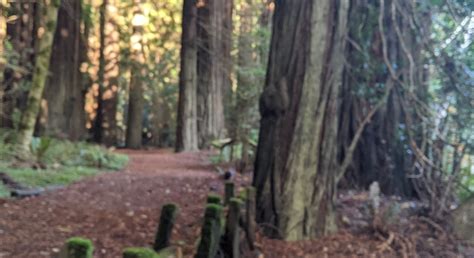 ROCKEFELLER LOOP - All You Need to Know BEFORE You Go 2026 (with Photos ...