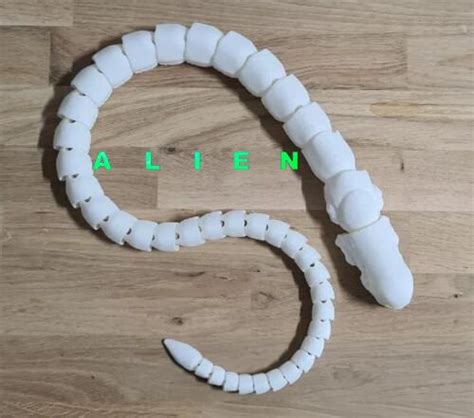 Image result for Alien Xenomorph Chest