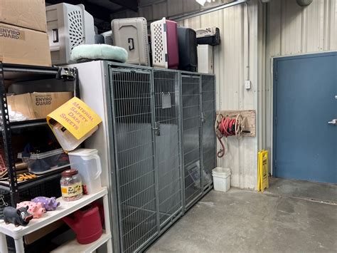 Group says Elko's animal shelter is too small