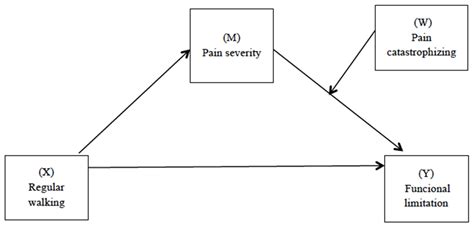 Effects of Walking as Physical Exercise on Functional Limitation ...