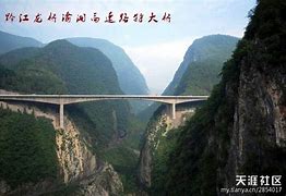 Image result for tianya.cn
