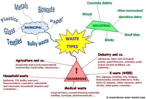 Image result for Storage of Waste Brain Map
