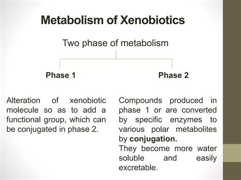 Metabolism of xenobiotics | PPTX