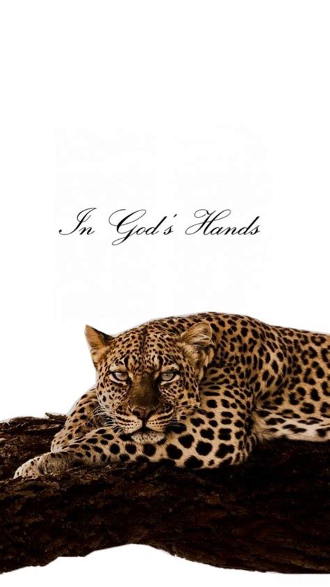 Thermal Heat Energy 的图像结果