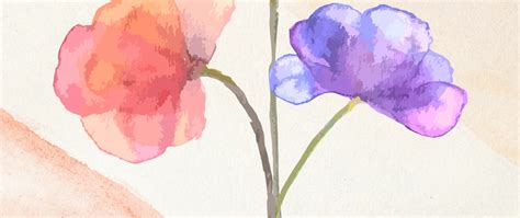 Rezultat imagine pentru Simplified Dev Code Camp