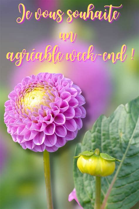 Agréable week-end | Hello weekend, Weekend
