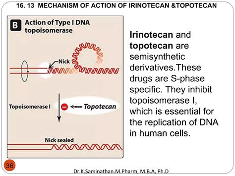 10.ANTICANCER DRUGS | PPT