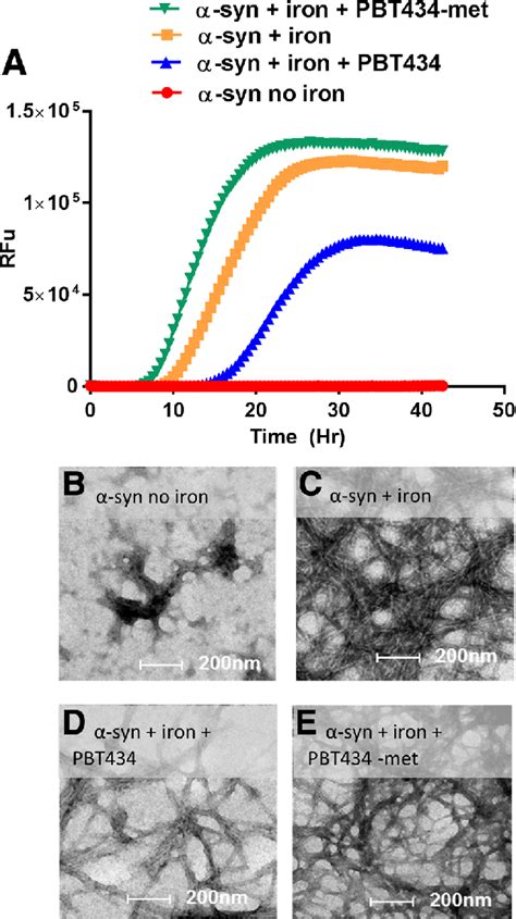 Discovery of potent inhibitors of α-synuclein aggregation using structure-based iterative learning -