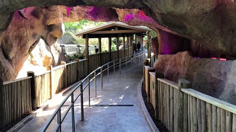 All New Tigris Queue Line at Busch Gardens Tampa Bay Florida - YouTube