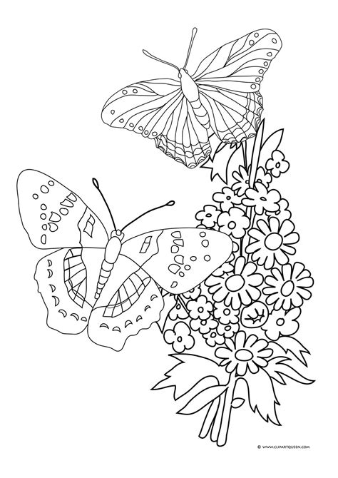 Cartoon Flowers And Butterflies Coloring Pages at gankaileyblog Blog