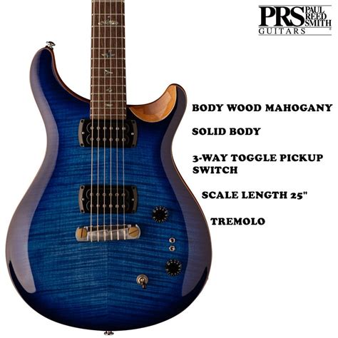 Buy PRS SE Paul's Guitar 6 String Electric Guitar with Gigbag Online ...