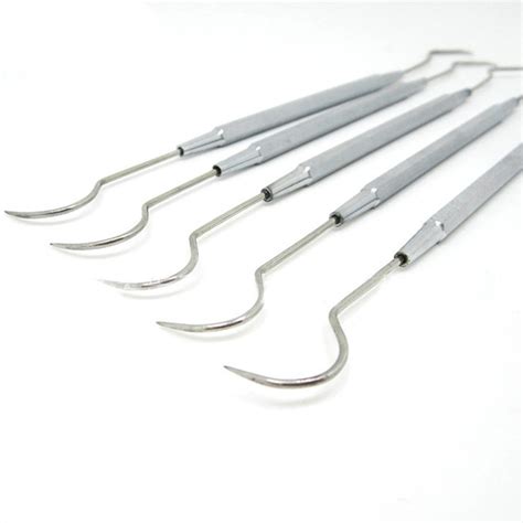 Buy Stainless Steel Double End Hook Tooth Probe Dental Teeth Clean ...