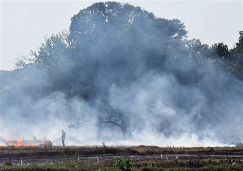 Know How Stubble Burning Impacts Our Environment