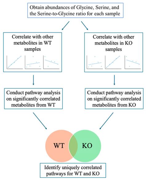 Untargeted Metabolomics Reveals Dysregulation of Glycine- and Serine ...