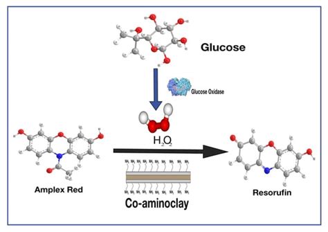 Effective Peroxidase-Like Activity of Co-Aminoclay [CoAC] and Its ...