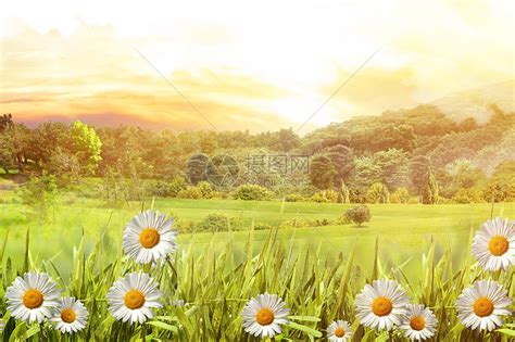 温暖的春天植物生长广告背景背景素材图片下载-万素网