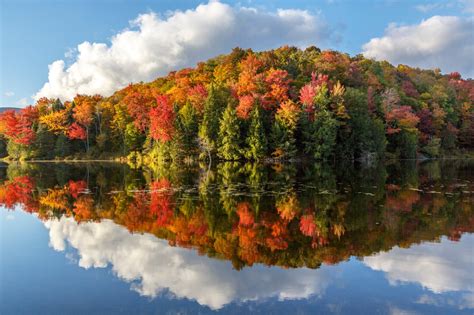 Image result for Transformative Visual Examples