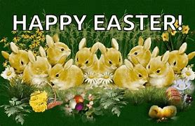 Image result for Beautiful Baby Bunnies