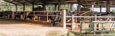 Har Khet Mein Gaushala